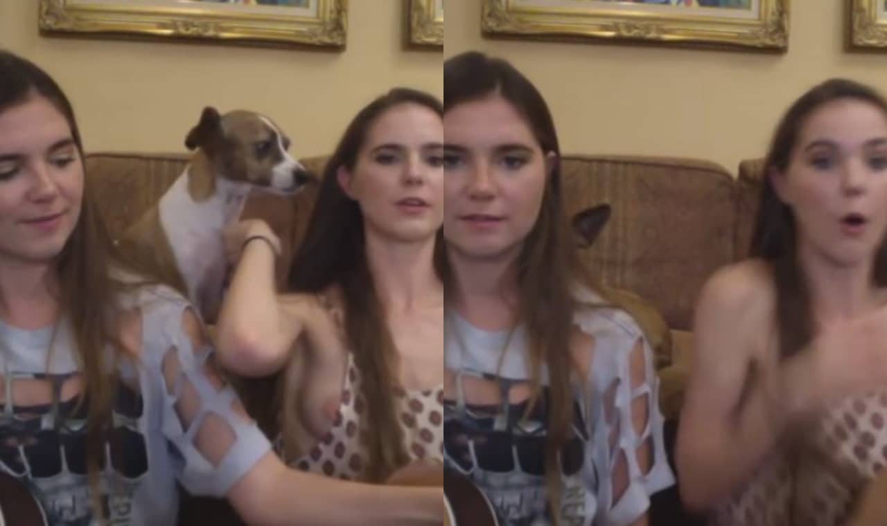 nina nelson nipple slip youtube live stream